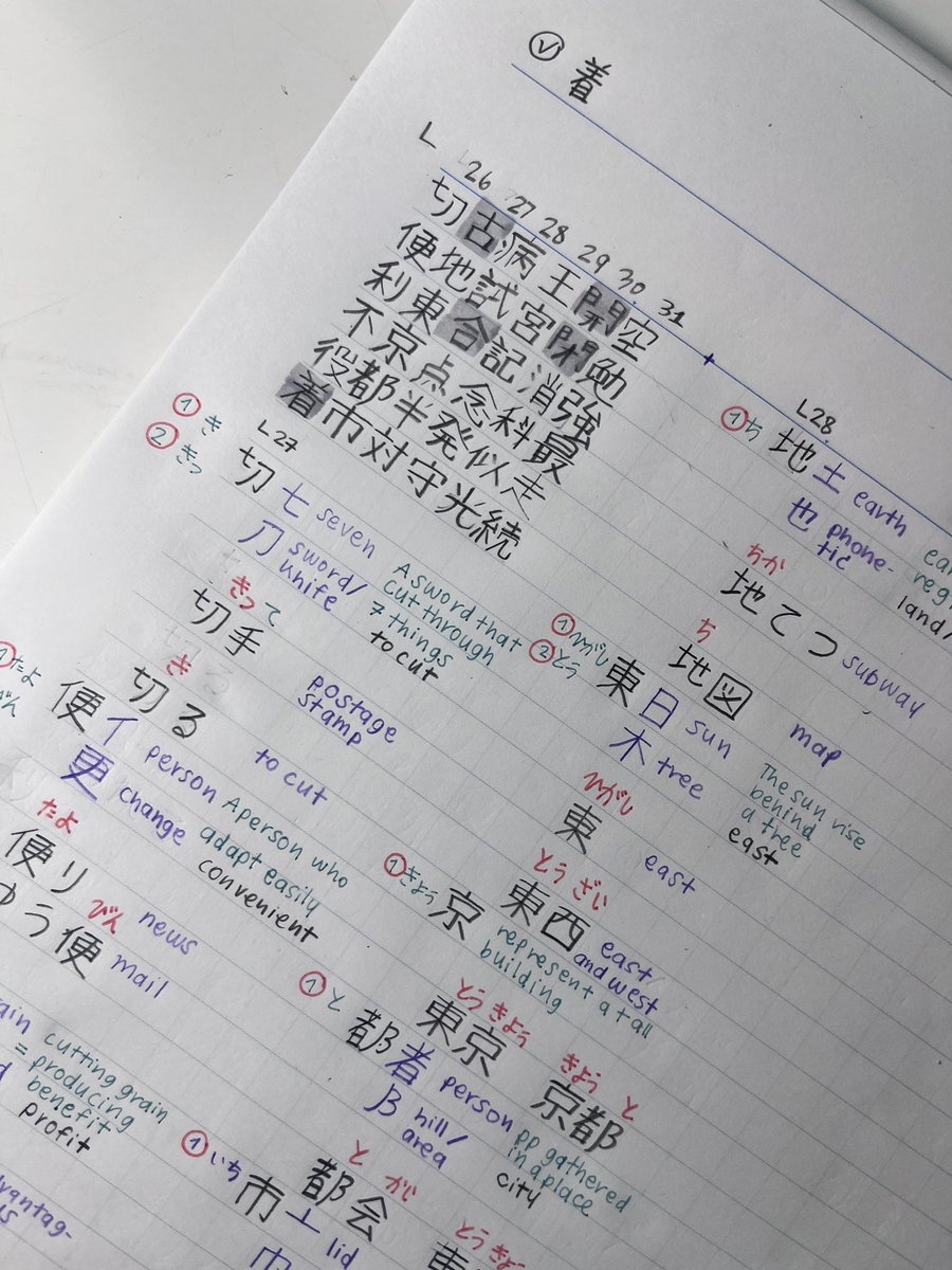 Loli • ロリ🌳💭 tweet media