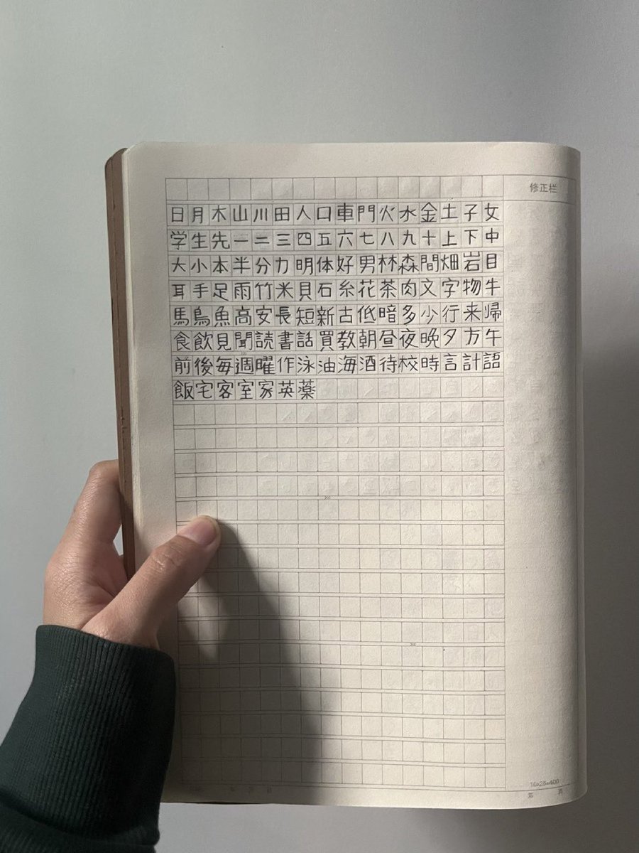 Loli • ロリ🌳💭 tweet media