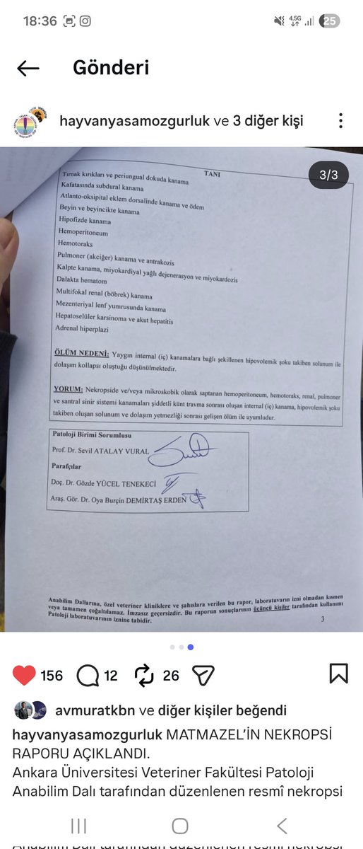 Matmazel'in rapor açıklandı. Onu hedef gösterenler ve topluma kin ve nefret yayanlar onun ölümünden sorumludur. Direkt ss atıyorum. Yatan hayvanı çekip haber yapanlar göbeğini kaşıyıp okuyup keyiflendiniz mi tanındınız ya hani?  Kin ve nefret ölüm getirir. #matmazeliçinadalet