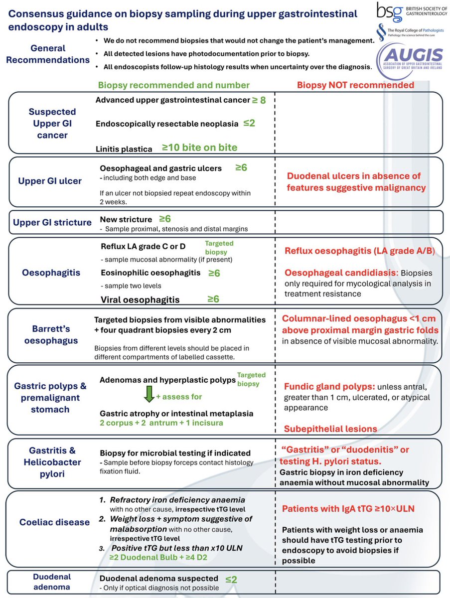 🎯🆕 Guías del Reino Unido sobre la toma de biopsias en la endoscopia digestiva alta
<a href="/FrontGastro_BMJ/">Frontline Gastro</a>
📸: fg.bmj.com/content/early/…