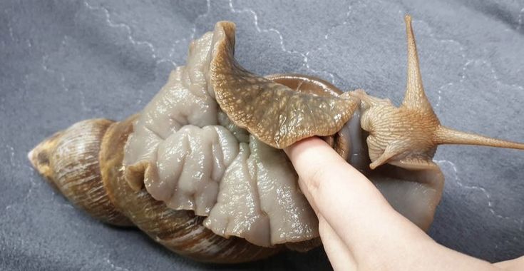 rub my tummy rub my tummy rub my tummy rub my tummy rub my tummy rub my tummy rub my tummy rub my tummy rub my tummy rub my tummy rub my tummy rub my tummy rub my tummy rub my tummy rub my tummy :3