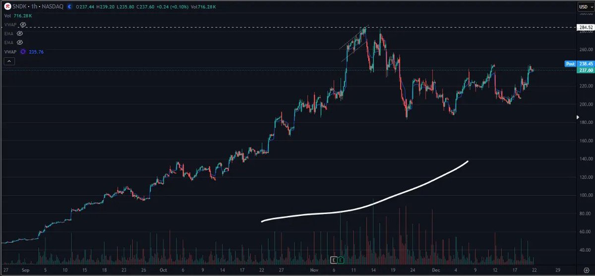 THE SHORT BEAR tweet media