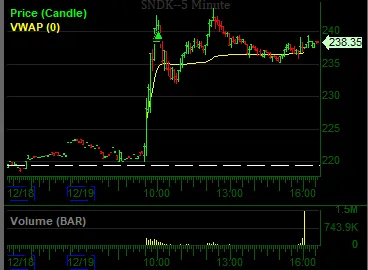 THE SHORT BEAR tweet media