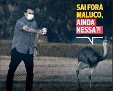 Clavatown tweet media