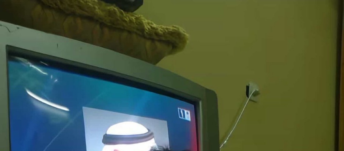 ليون!! tweet media