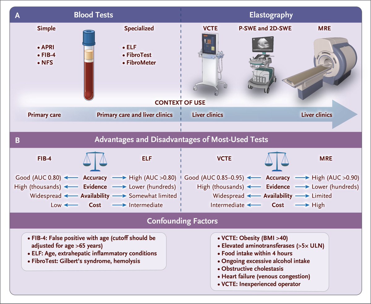 sepdigestiva's tweet photo. 💡🆕 Evaluación no invasiva de la fibrosis hepática
Nueva revisión en @NEJM 
Incluye:
1️⃣ Algoritmo de abordaje
2️⃣ Diagnóstico y estadificación de la fibrosis hepática
3️⃣ Resumen de las pruebas no invasivas

📸: https://t.co/U9UZglZEj6 https://t.co/vzbQI1I3yq