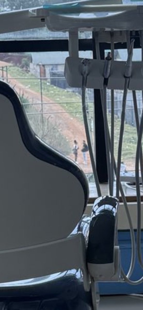 DånnyRêx 🐾 tweet media