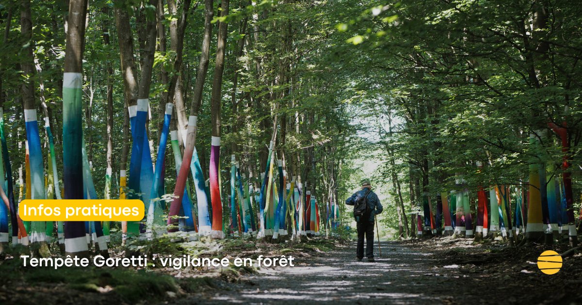 🔵[Tempête Goretti : vigilance en forêt] ⚠️
Suite à la tempête, l’<a href="/ONF_Officiel/">Office national des forêts</a> déconseille l’accès aux forêts domaniales dans les prochains jours. Des opérations de sécurisation sont encore en cours 🌲
⚠️ Les risques de chutes d’arbres et de branches restent élevés.