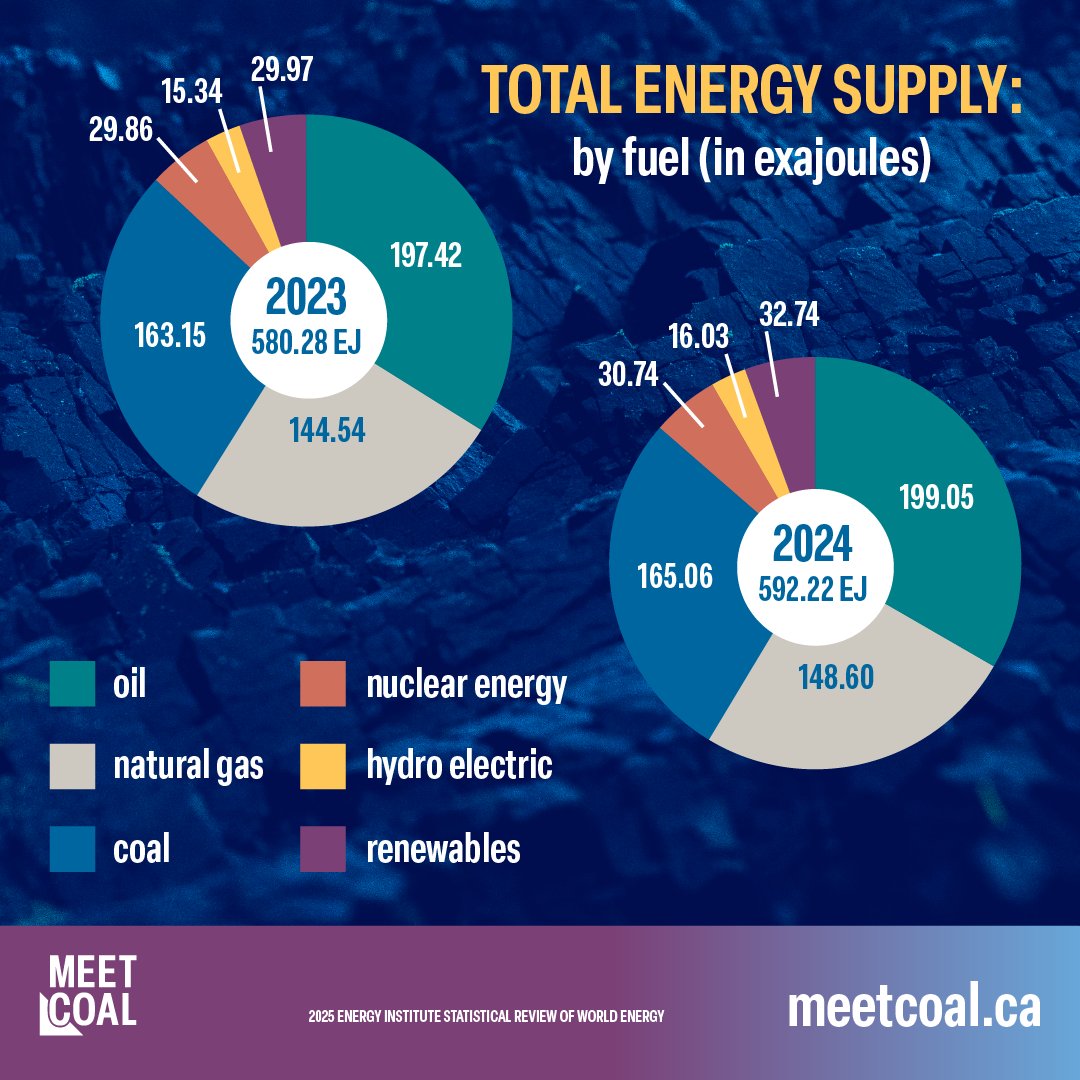 Some say coal demand is in decline—this couldn’t be further from the truth. World coal demand has reached new highs in successive years, and thermal coal is critical for energy security while metallurgical (steelmaking) coal will be needed for steel production for decades to