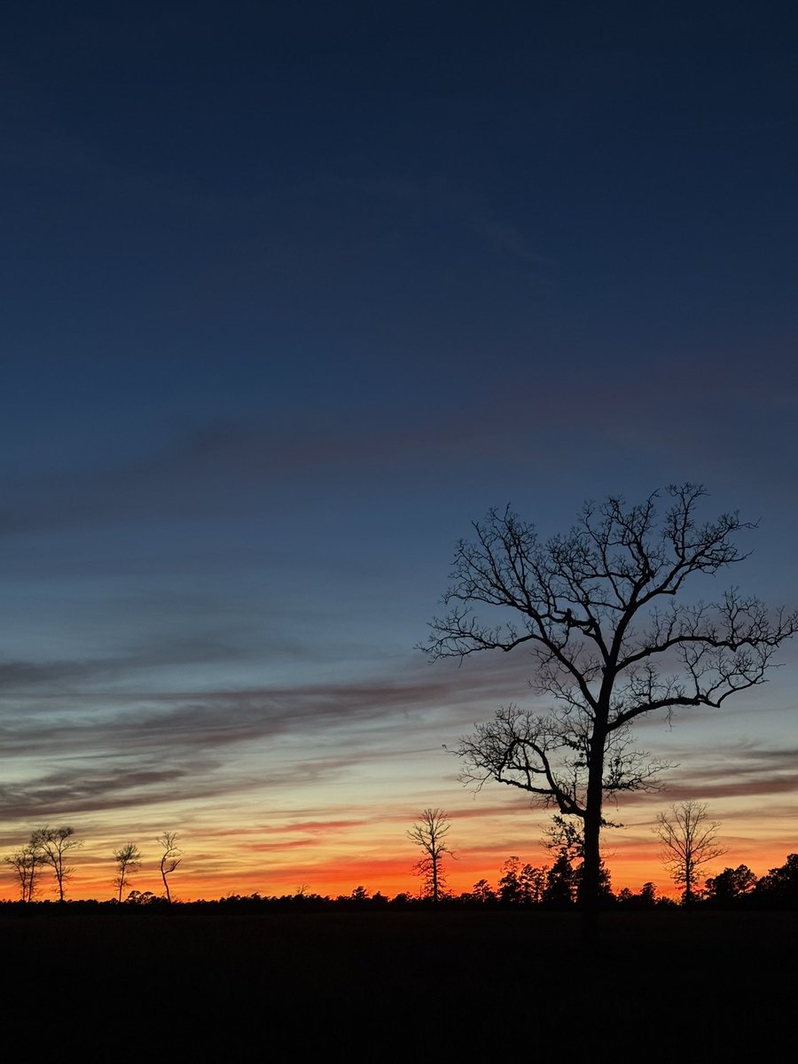 DB1911's tweet photo. Winter sunsets
#easttexas
#photooftheday https://t.co/mvgctMd4qv