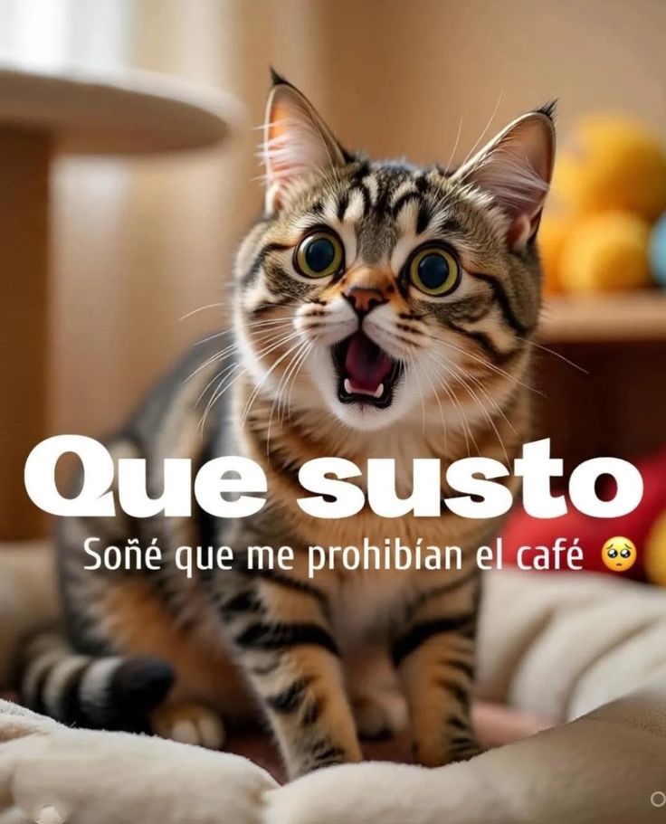 LydiaPrez14's tweet photo. Fue un sueño 😁🤭😂😍😋 https://t.co/5sF0vCgC5p