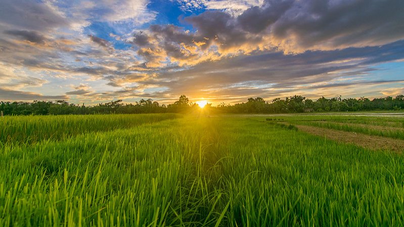 India Aesthetica tweet media