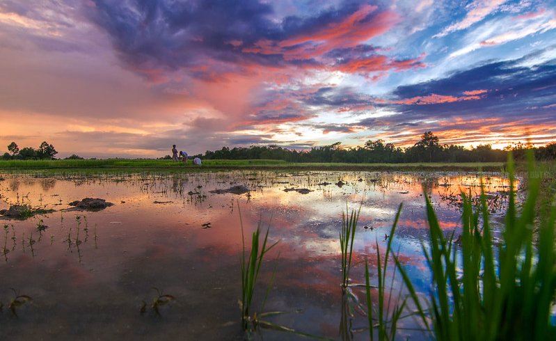 India Aesthetica tweet media