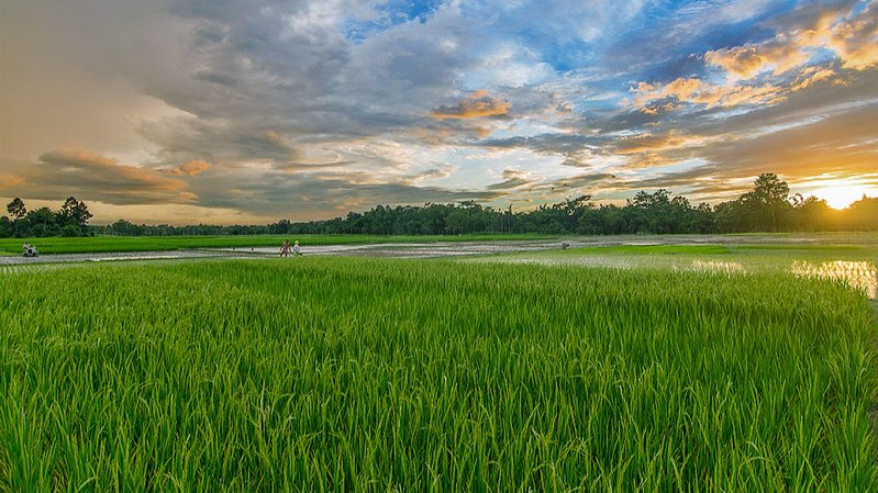 India Aesthetica tweet media