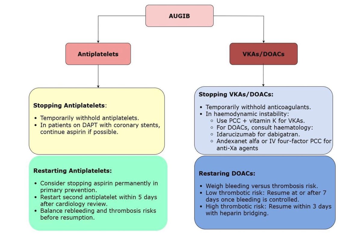 sepdigestiva's tweet photo. 🩸🆕 Revisión sobre la hemorragia digestiva alta agudaIncluye:
1️⃣ Algoritmo de manejo
2️⃣ Tratamiento endoscópico
3️⃣ Manejo de la terapia antitrombótica
4️⃣ Evolución y tendencias a lo largo del tiempo📸: @FrontGastro_BMJ
🔗 https://t.co/yeNZcg1YVn https://t.co/13UqFX2U9K