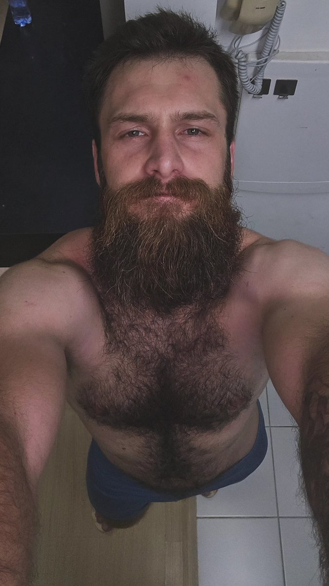 My OnlyCats tweet media