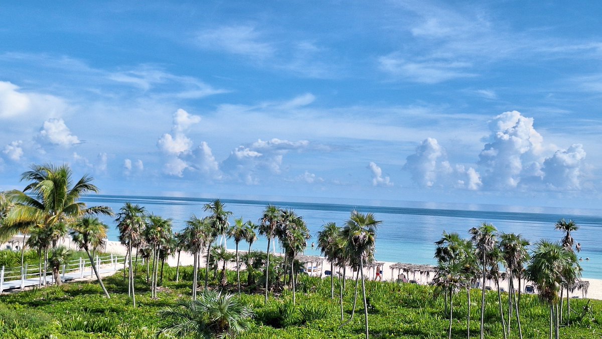 CCMeliaCayoCoco's tweet photo. Perfect beach! https://t.co/SqBflymdeW
