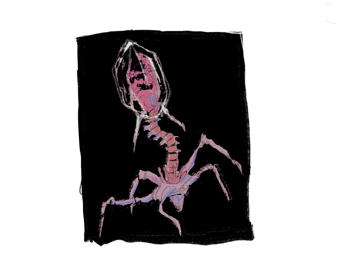 ioooooooo_o's tweet image. 