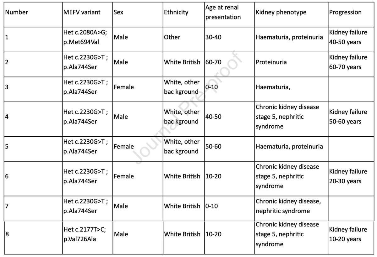 Matt Sampson tweet media