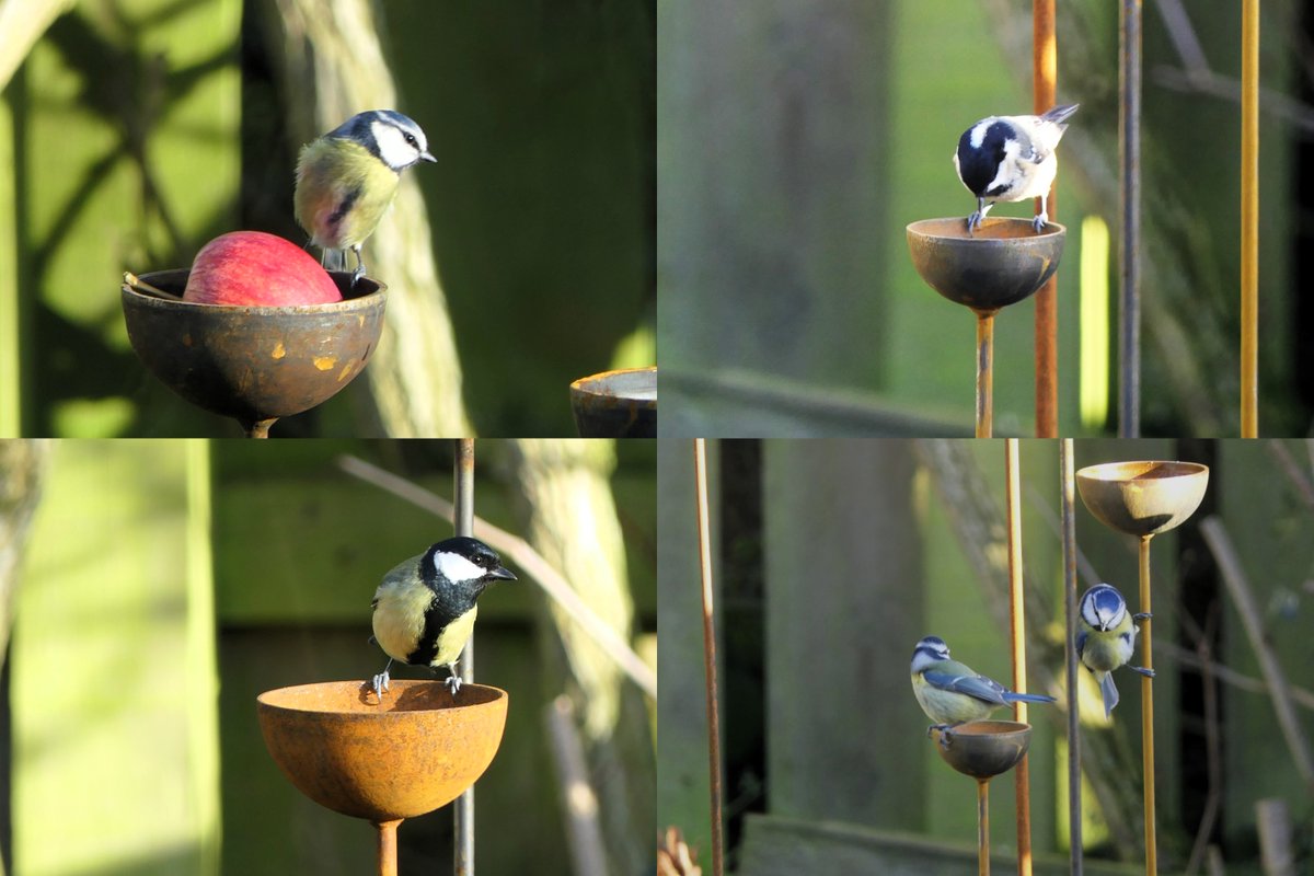 𝓡𝓮𝓿𝓭 𝓓𝓪𝓿𝓲𝓭 𝓐𝓽𝓴𝓲𝓷𝓼𝓸𝓷 tweet media