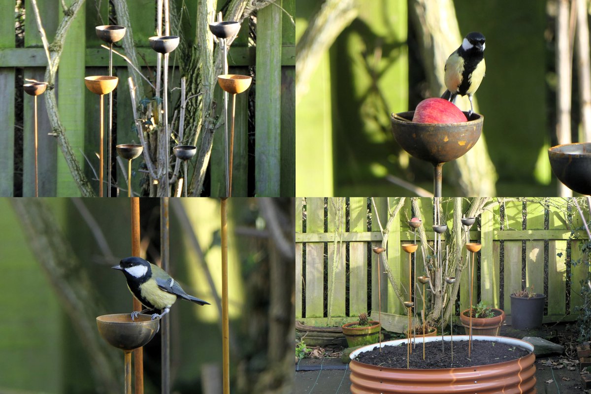 𝓡𝓮𝓿𝓭 𝓓𝓪𝓿𝓲𝓭 𝓐𝓽𝓴𝓲𝓷𝓼𝓸𝓷 tweet media