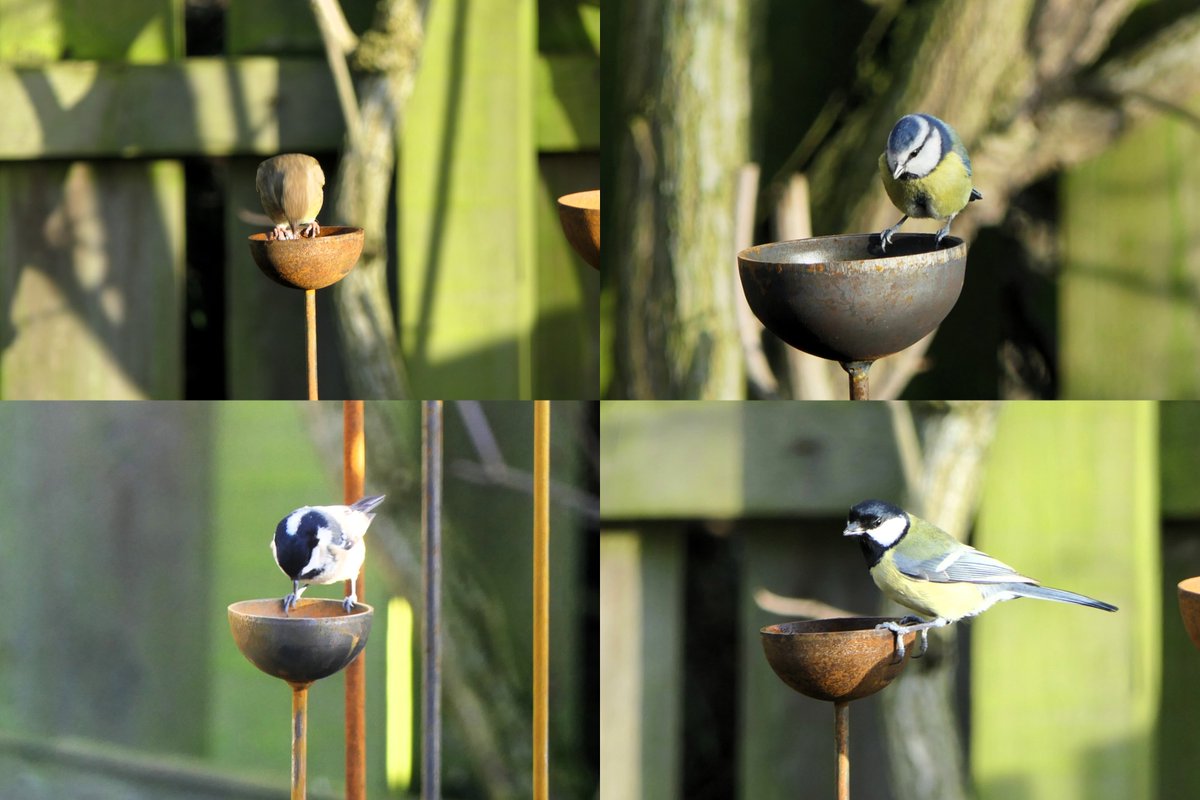 𝓡𝓮𝓿𝓭 𝓓𝓪𝓿𝓲𝓭 𝓐𝓽𝓴𝓲𝓷𝓼𝓸𝓷 tweet media