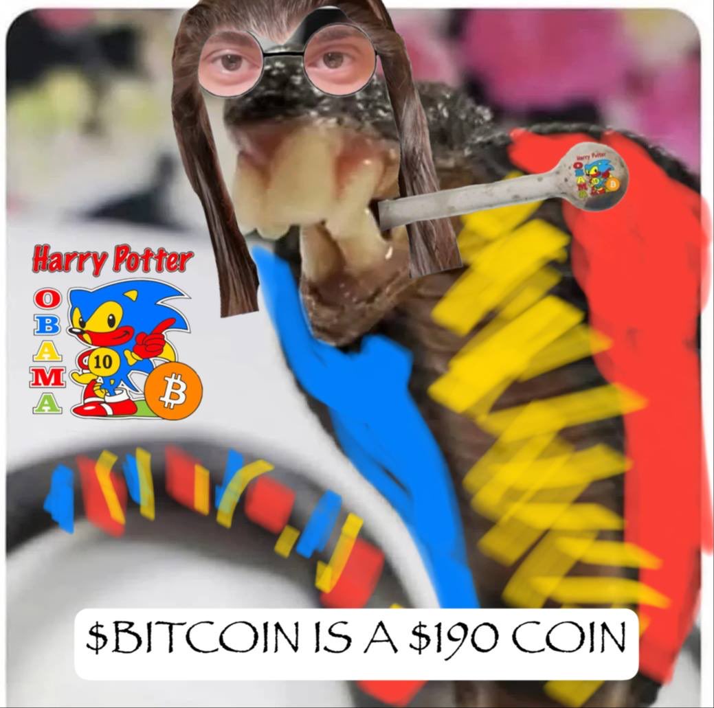 I was brought to this earth to tell you that $BITCOIN is a $190 coin  #HarryPotterObamaSonic10Inu