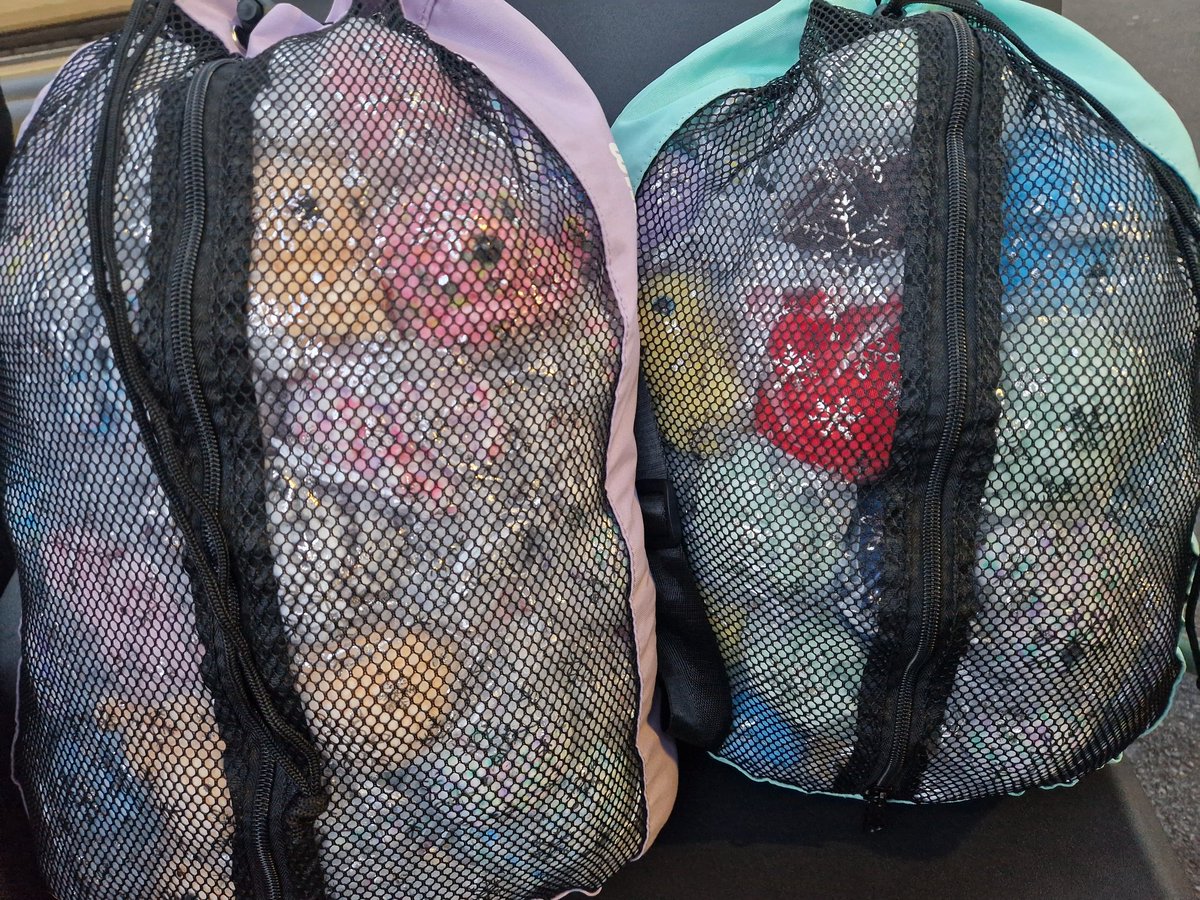 LilMsPlagueRat's tweet photo. Never in my wildest dreams growing up did I ever think I would get to go see a major @ISU_Figure event in person, yet here I am sat waiting for my train to Sheffield for #EuroFigure with a hand made plushie for every skater.
#FigureSkating https://t.co/BiN4sUicxZ