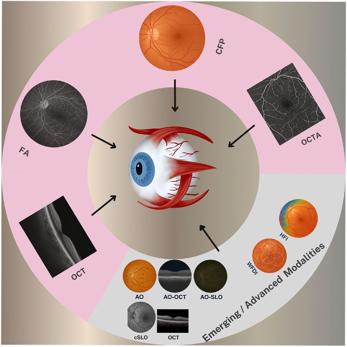 Journal of Precision Medicine: Health and Disease tweet media