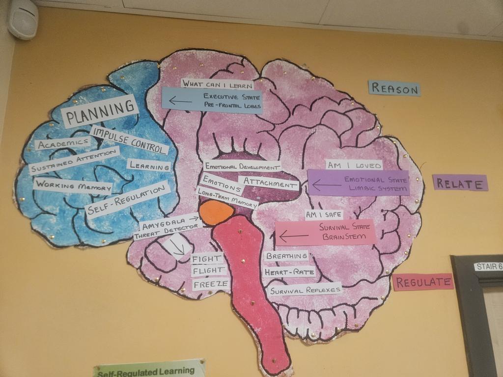 Gerry🧠🌱 tweet media
