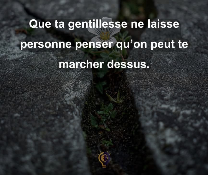 Sagesse Pure tweet media