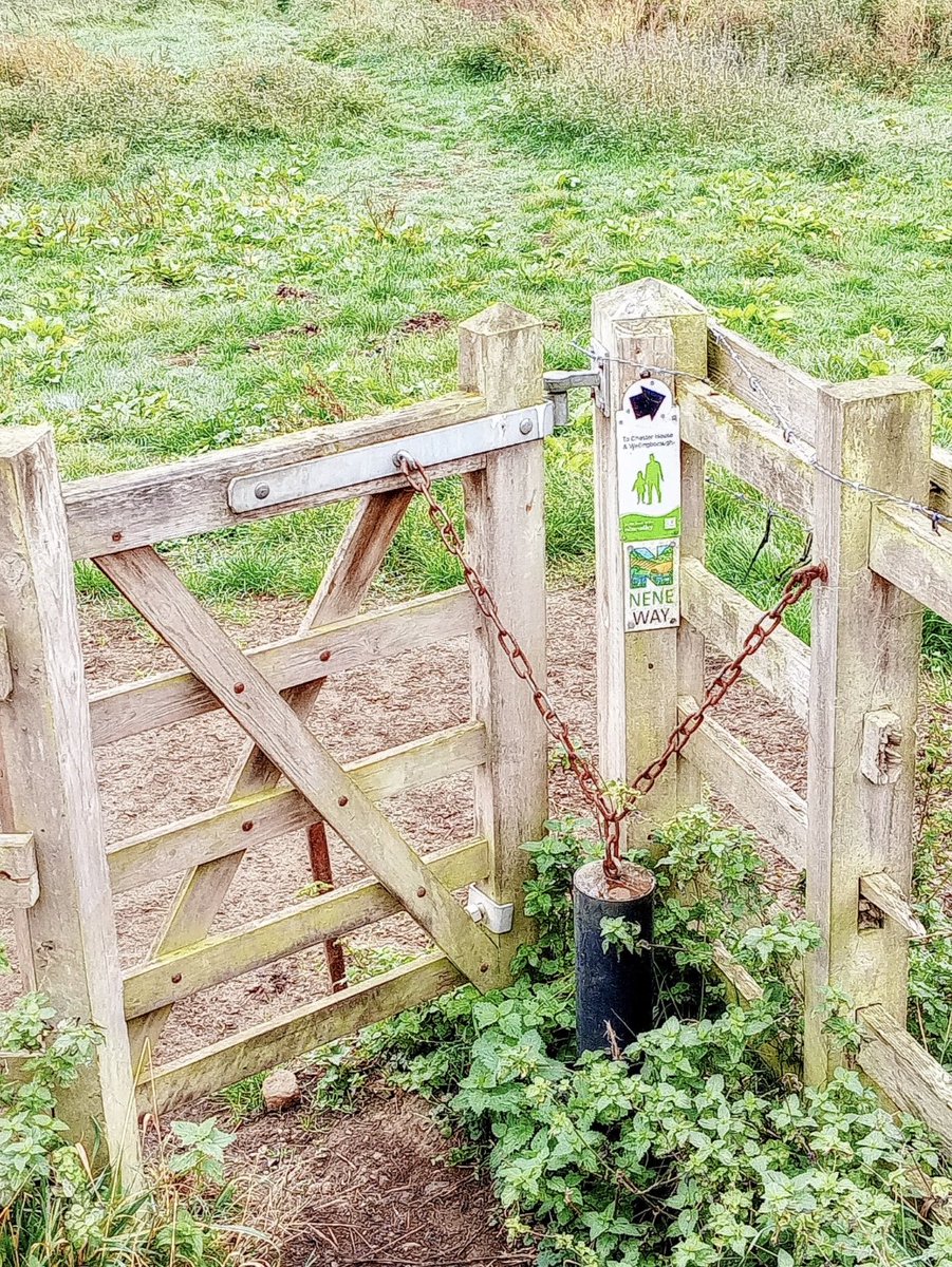 For the Love of Gates tweet media