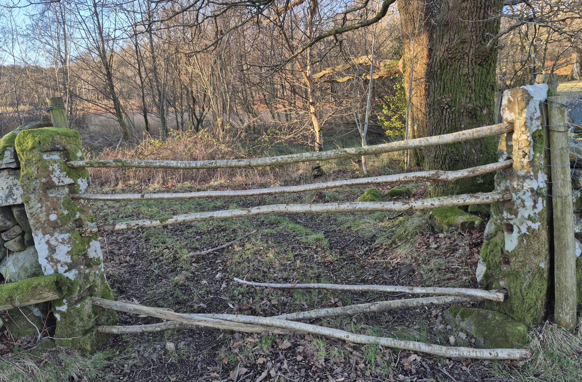 For the Love of Gates tweet media