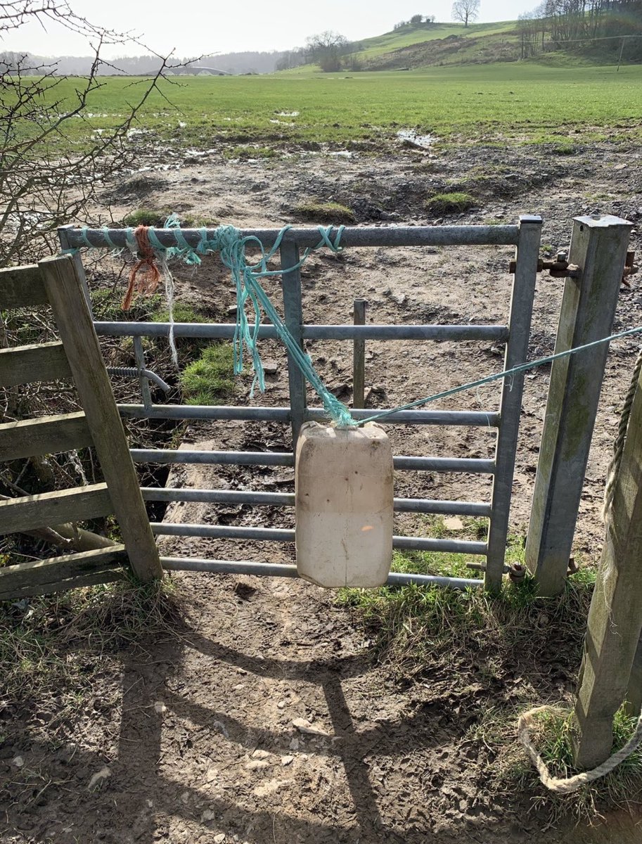 For the Love of Gates tweet media