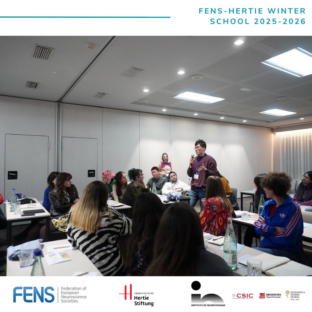 FENSorg's tweet photo. This week, the #FENS-Hertie #WinterSchool 2025-2026, “Single-Cell and Spatial Omics to Understand Brain Heterogeneity”, is taking place in Alicante, Spain. 🇪🇸 https://t.co/RHCD9snpXr