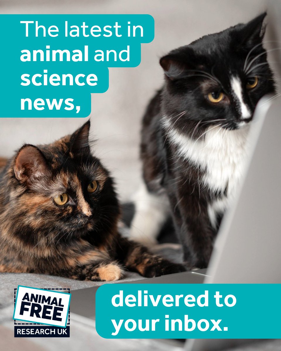 AFR_UK's tweet photo. Join our community of compassionate animal-lovers!

Get updates on animal testing news, campaigns, animal-free research breakthroughs &amp; ways to help build a kinder future for animals and people 💙

Sign up ➡️ https://t.co/Q4XUyBGKkw

#AnimalFree #KinderScience #HerbiesLaw https://t.co/ZlJvmhaNQh