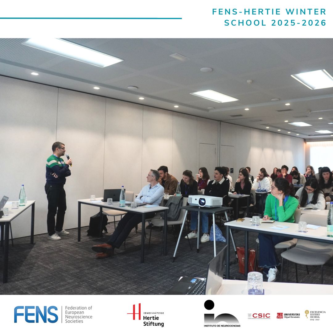 FENSorg's tweet photo. This week, the #FENS-Hertie #WinterSchool 2025-2026, “Single-Cell and Spatial Omics to Understand Brain Heterogeneity”, is taking place in Alicante, Spain. 🇪🇸 https://t.co/RHCD9snpXr