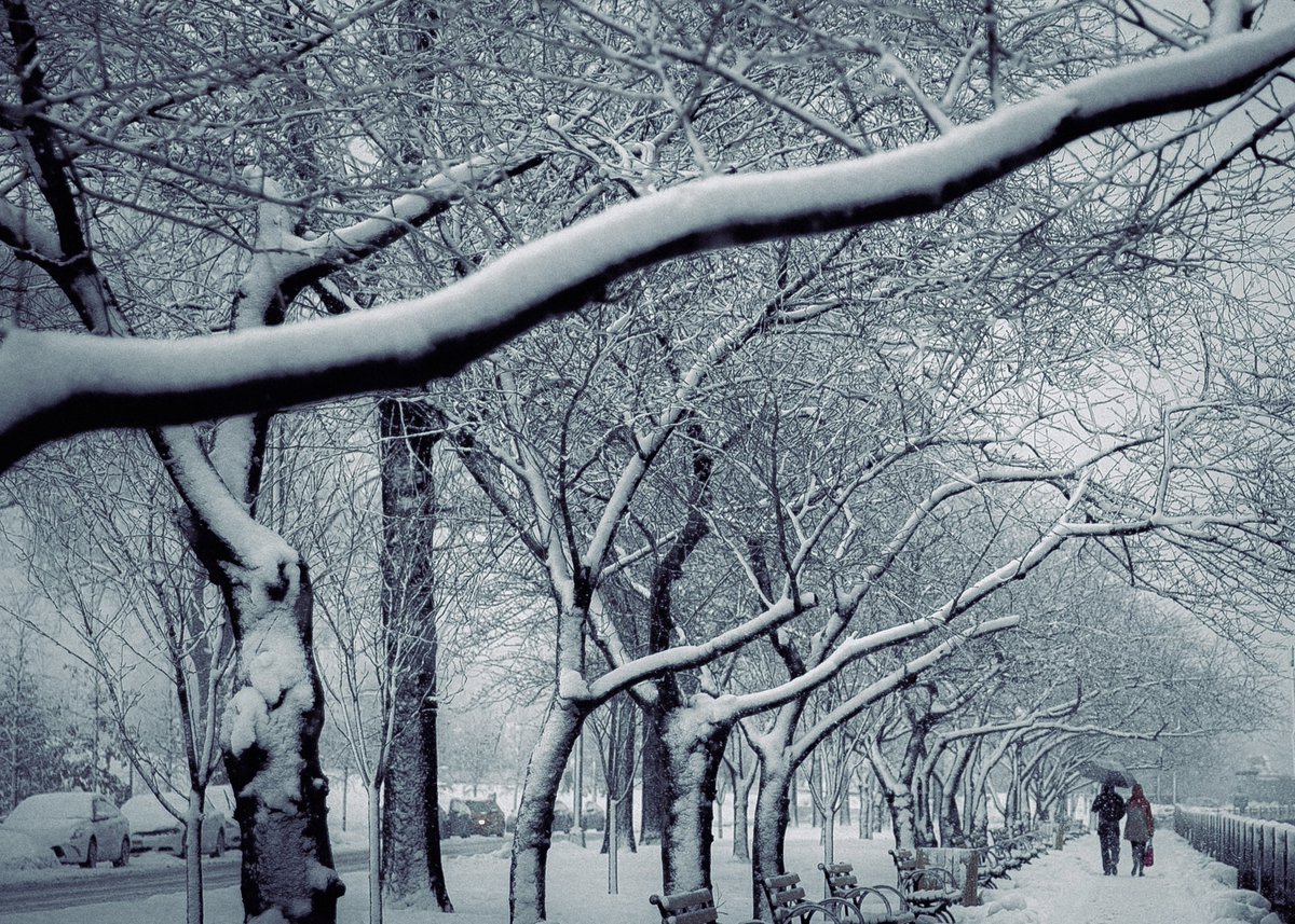 Billy Dinh tweet media