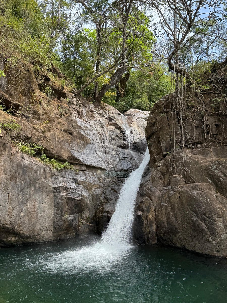 Delicioso domingo 😌♥️