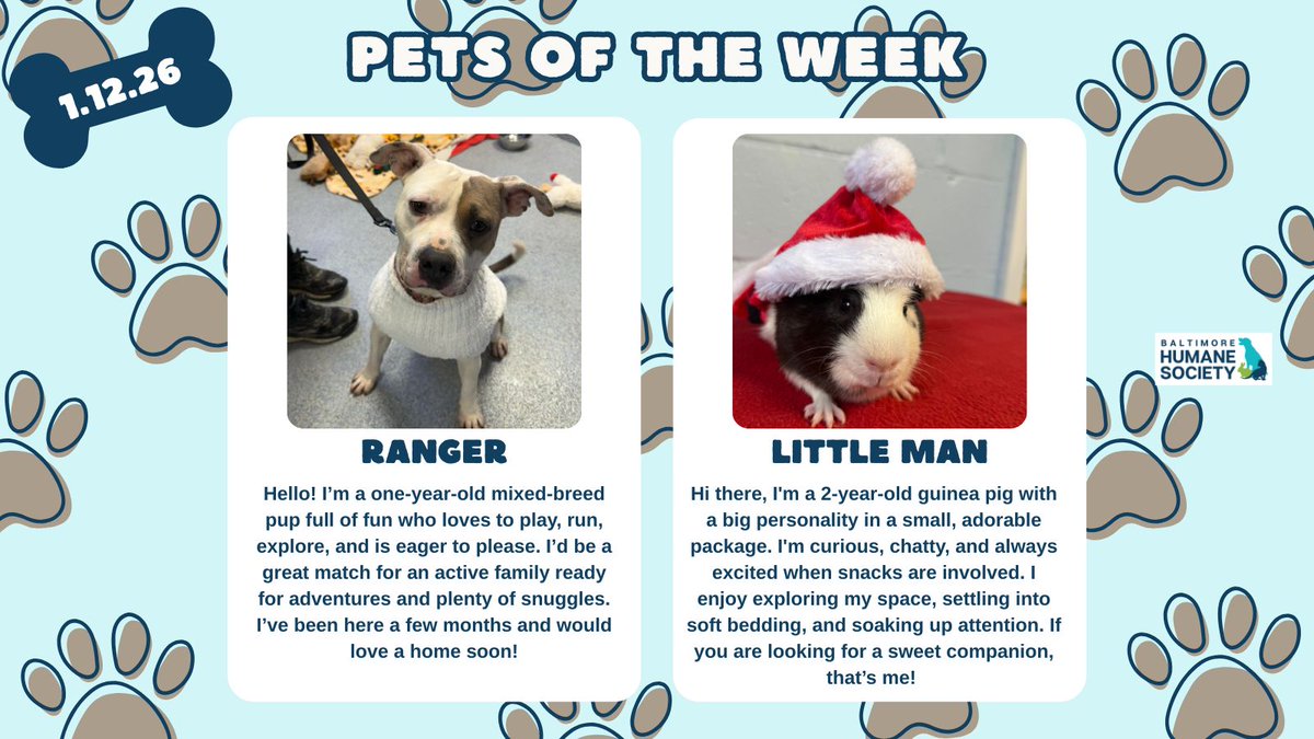 BMORE HUMANE tweet media