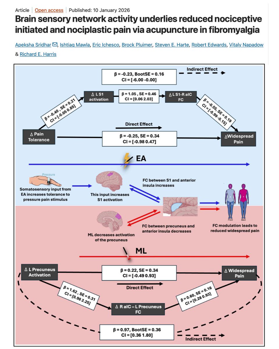 Evidence Based Acupuncture tweet media
