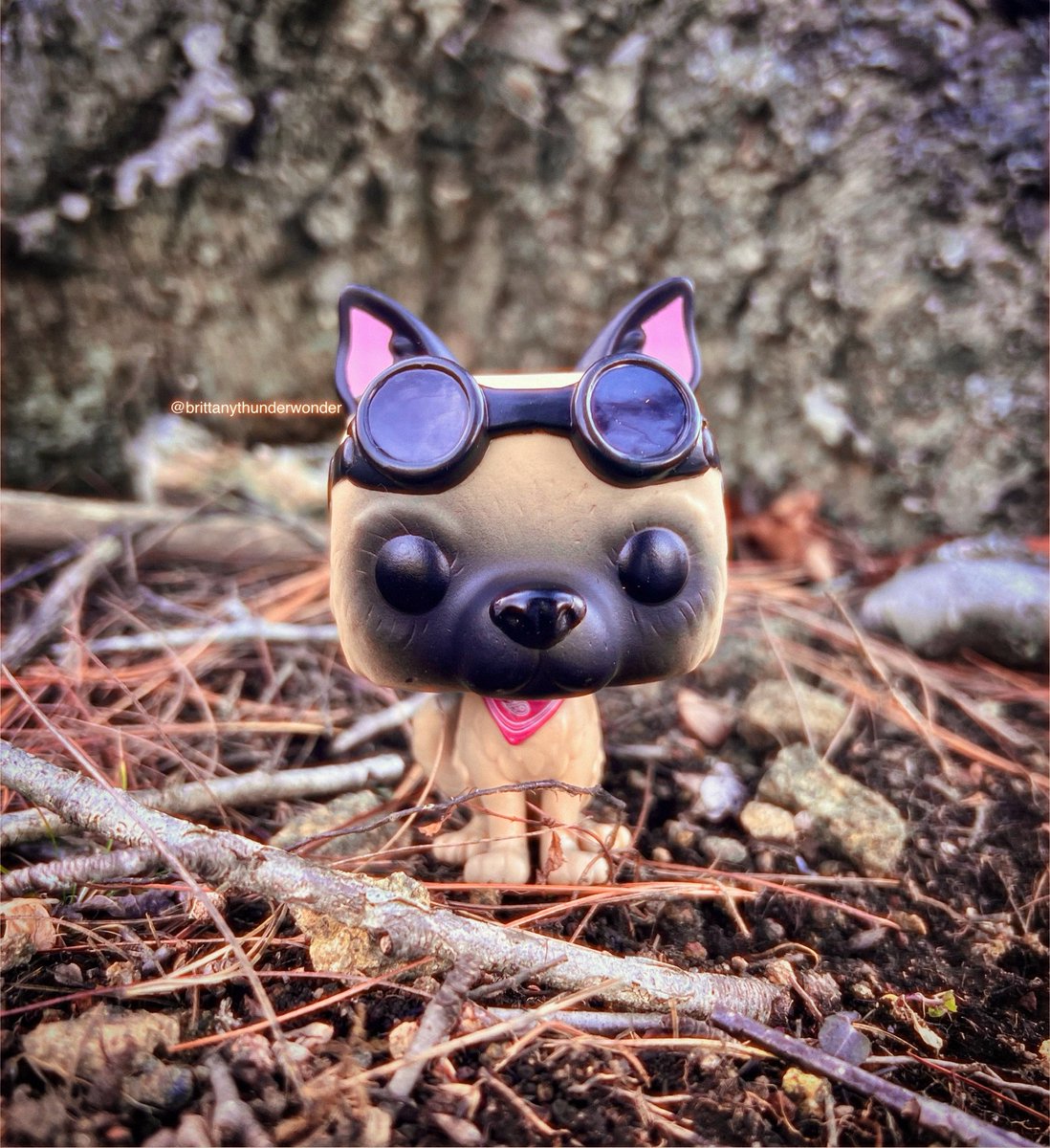 BThunderWonder's tweet photo. 🤎Dogmeat🤎 #Dogmeat #Fallout #FunkoPhotoADay #FunkoPhotography #FunkoLife #Funko #FunkoPhoto #Dog #FunkoPop #FunkoFun #Funkos #Pop https://t.co/eHI6tzrfWx