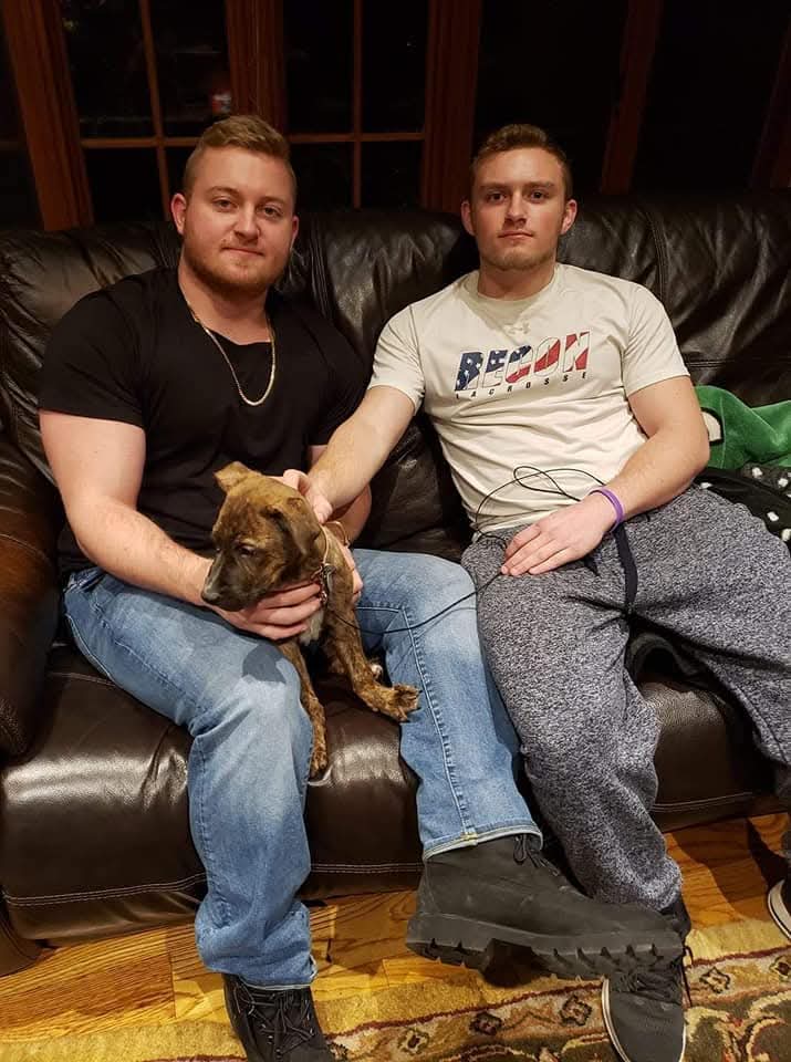 AryaFeiner's tweet photo. 7 YEARS AGO TODAY RYAN AND JOHN BROUGHT HOME ARYA AND THINGS HAVE NEVER BEEN THE SAME. https://t.co/17H2v8mWK7