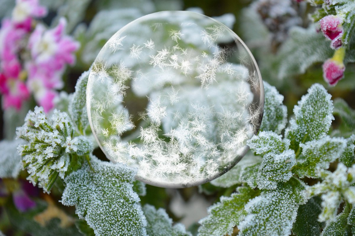 Életútinterjú Molnár Piroskával ✨youtu.be/r_HBIfcwaHU?si… ❄️
