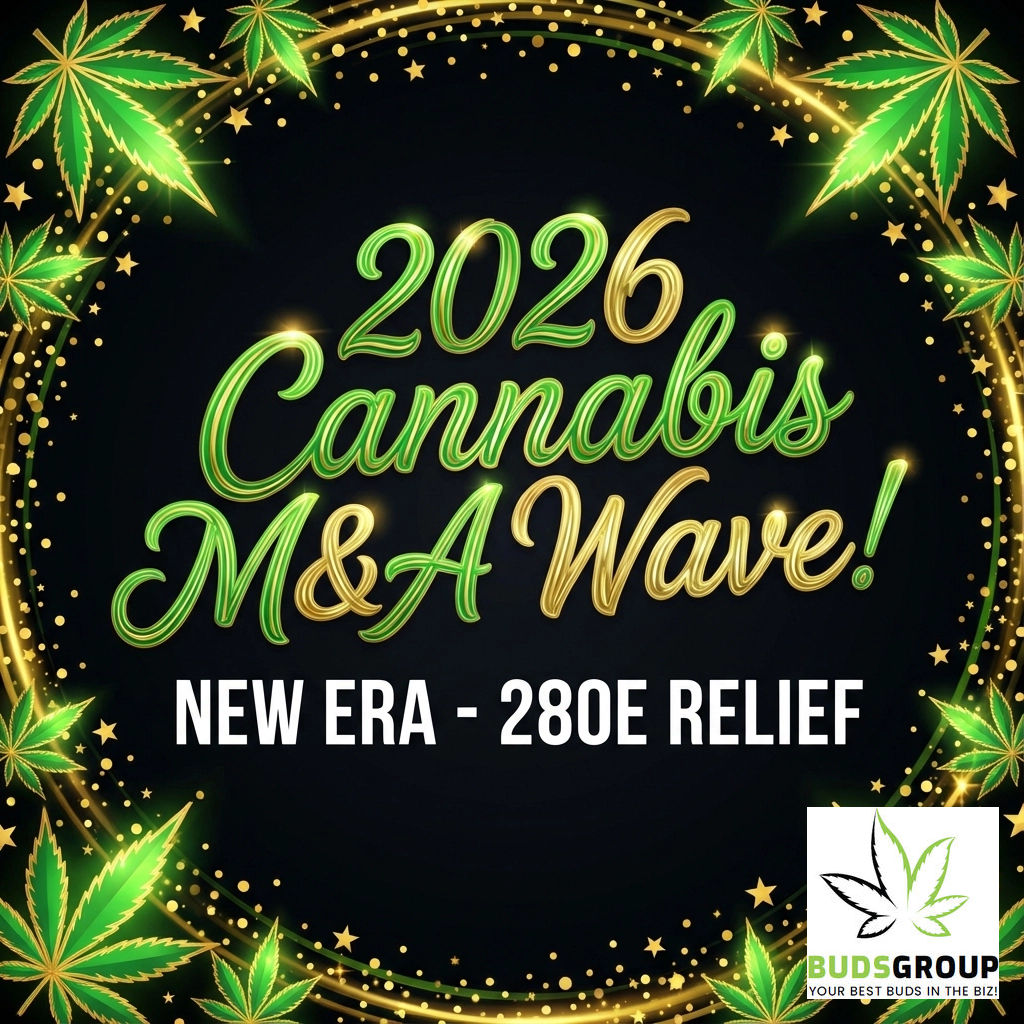 AccountingBuds tweet media