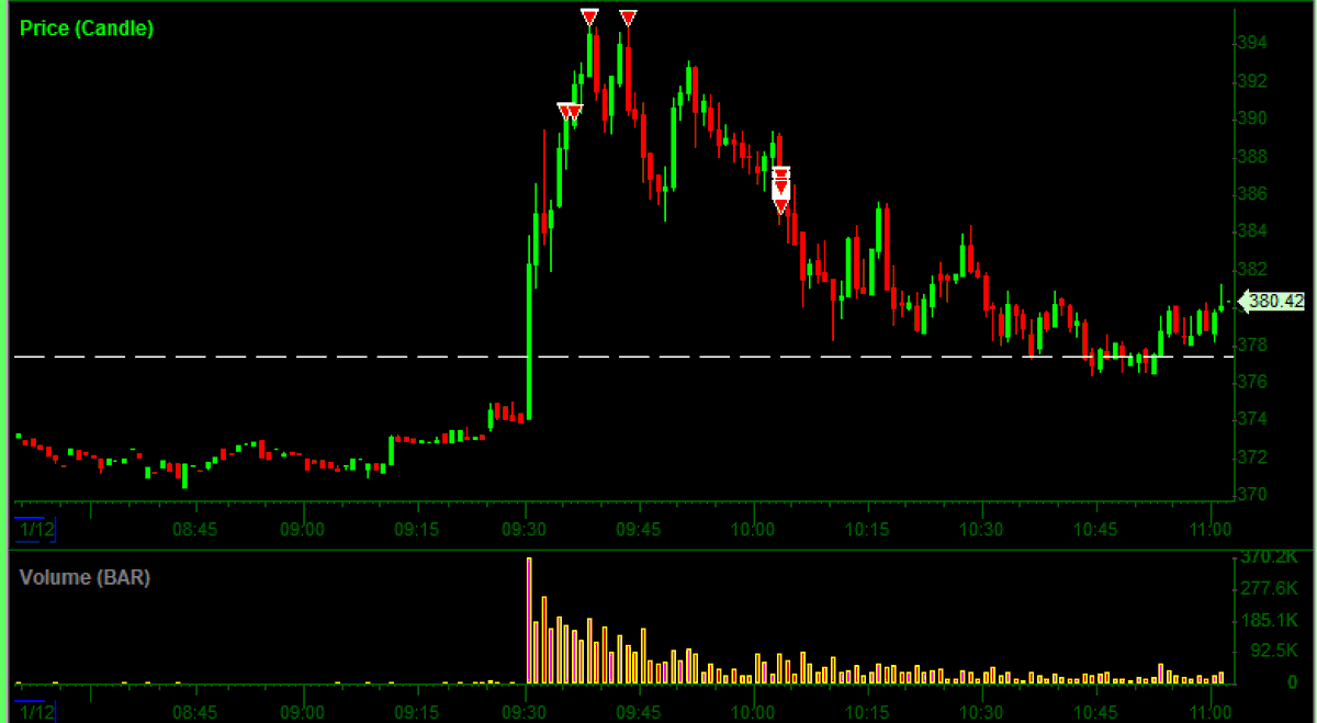 THE SHORT BEAR tweet media