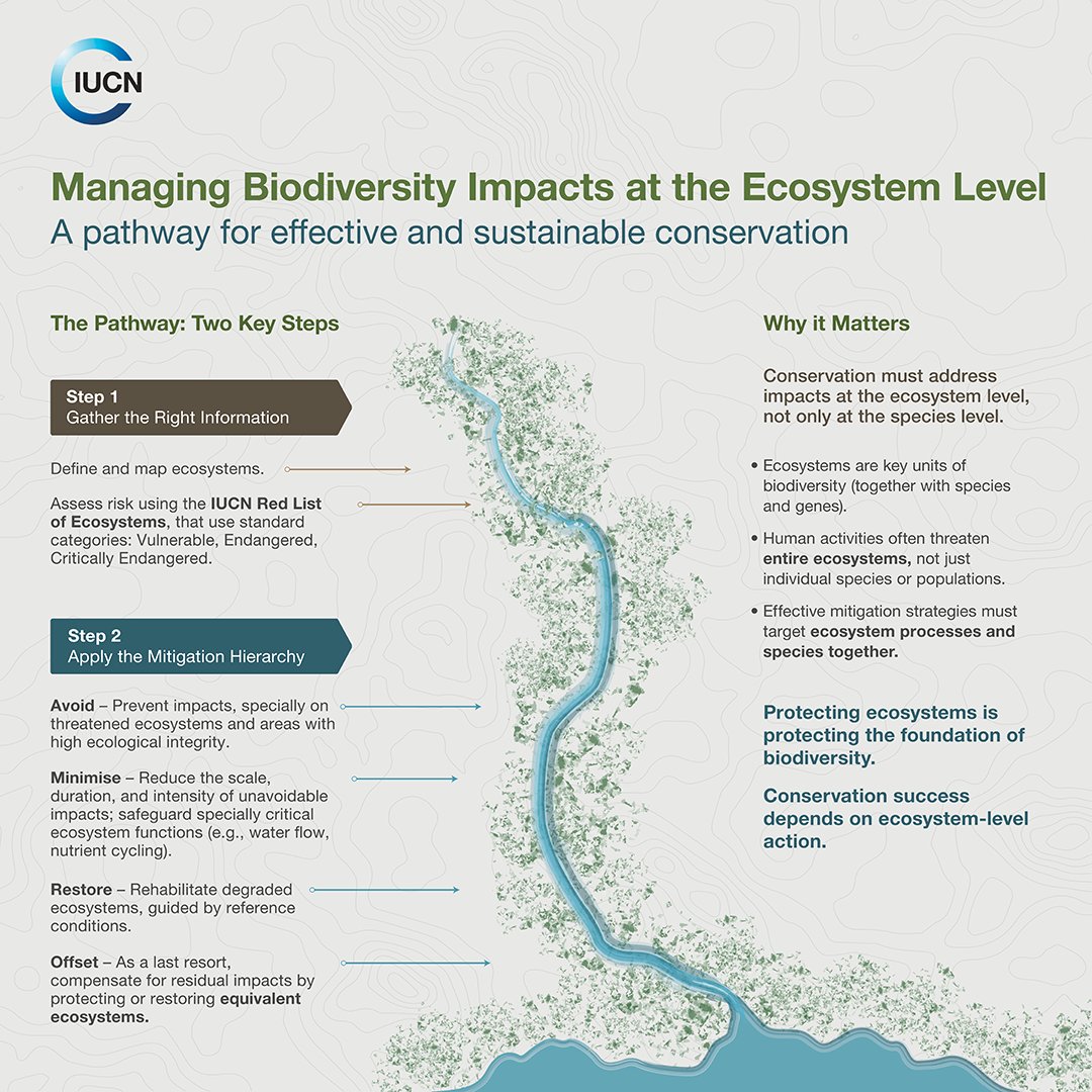 IUCN's tweet photo. 🌿 Ecosystems are more than landscapes — they’re essential units of biodiversity that require careful, informed decision-making.

A new issue brief from the BEFoRE (Benefits from Restoration) project underscores the importance of understanding which ecosystems are present at a project site, along with their condition and risk status. 

👉 Read more https://t.co/VEcfj8NjCC