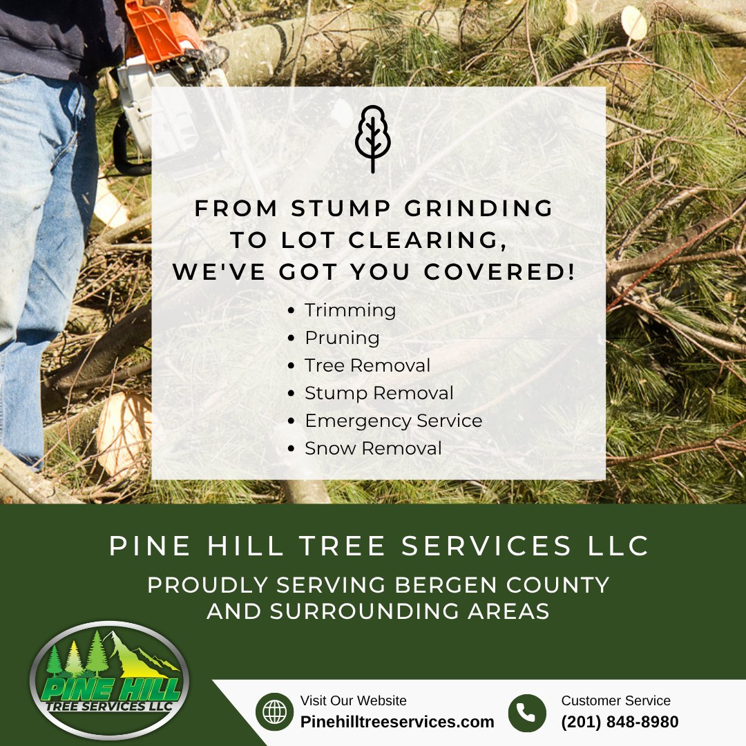 PineHillTS's tweet photo. From stump grinding to snow removal — we do it all. 
One trusted team. Every season.  

📍 Bergen County &amp; surrounding areas
📞 (201) 848-8980 

#TreeService #StumpGrinding #SnowRemoval #PineHillTreeServices #NJLandscaping #LotClearing #TreeCare #BergenCountyNJ https://t.co/cDM9zg1Oas