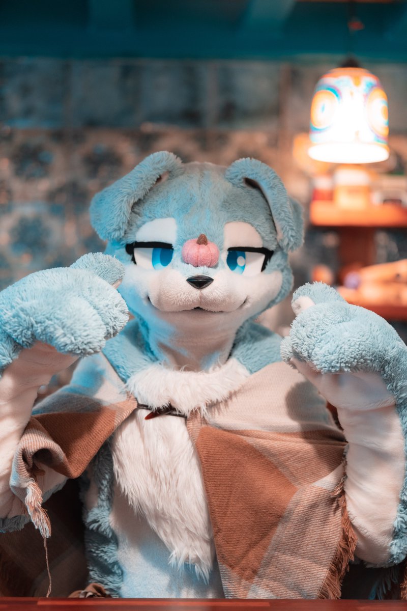 しろくま (@Shirokuma_4GLTE) / Posts / X