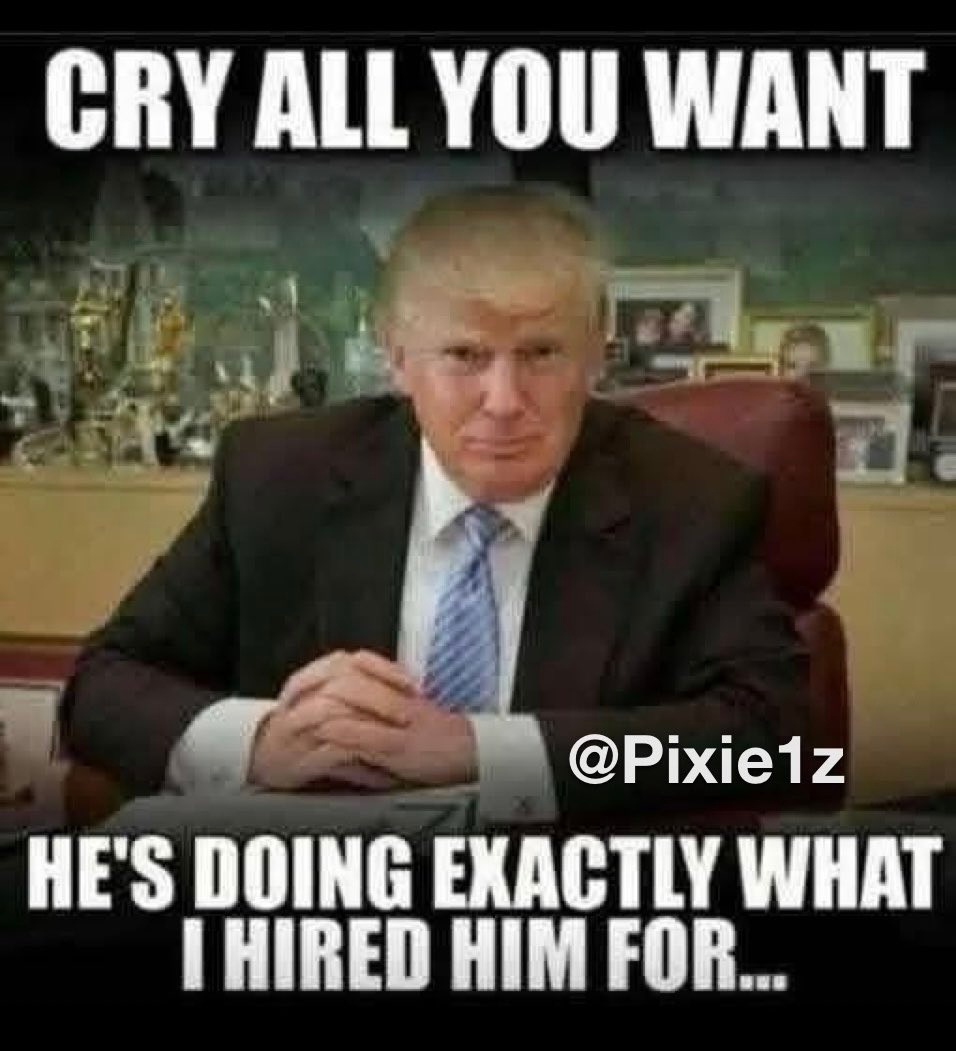 Pixie1z's tweet photo. President Trump is doing exactly what I voted for. https://t.co/zhsQUT5NrO
